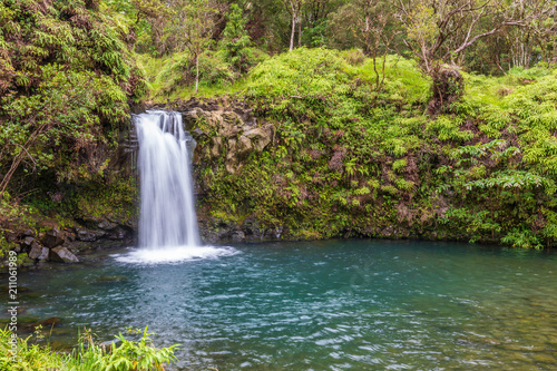 Fototapeta Naklejka Na Ścianę i Meble -  Scenic Tropical Maui Waterfall
