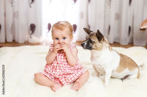 Obraz na płótnie Little funny Caucasian girl the child sits at home on the floor on a light carpet with the best friend of the half-breed dog with spotty color and short hair and funny big ears