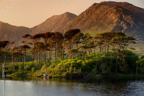 Twelve Pines Island, standing on a gorgeous background formed by the sharp peaks of a mountain range called Twelve Bens, County Galway, Ireland