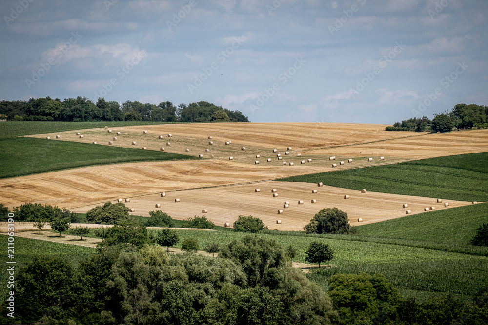 Fototapeta premium Heuernte