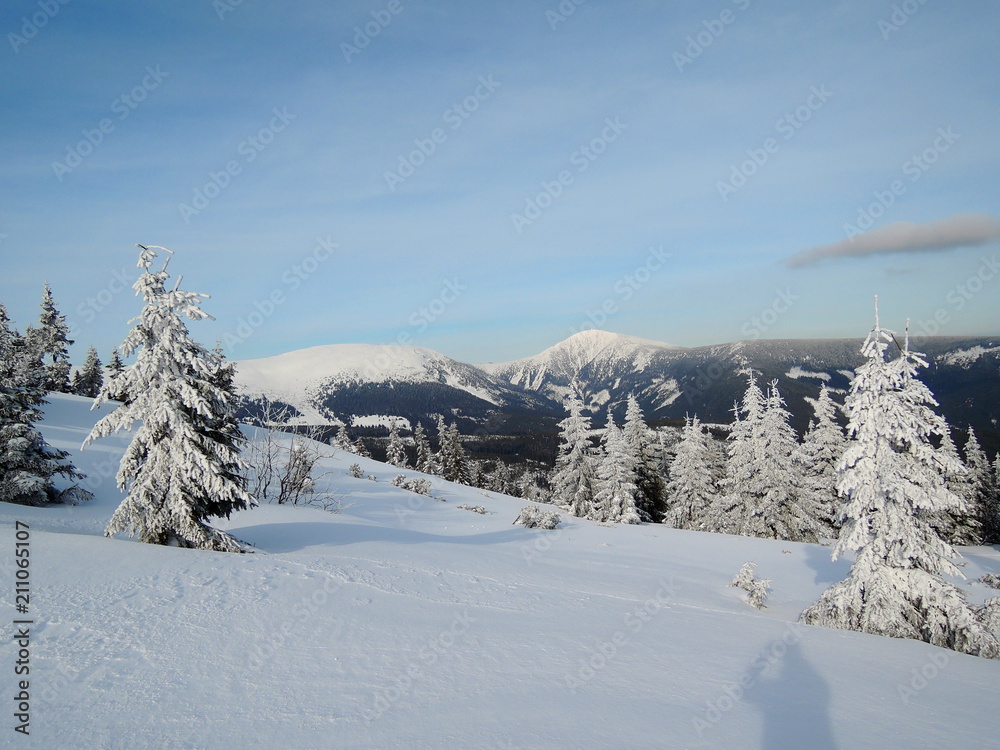 View on Sněžka mountain Krkonoše