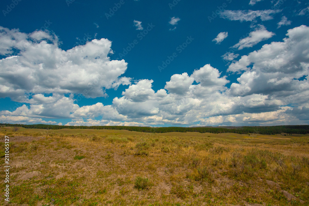 Grassy plain with blue sky and clouds, Wyoming, USA Grassy plain with blue sky and clouds, Wyoming, USA