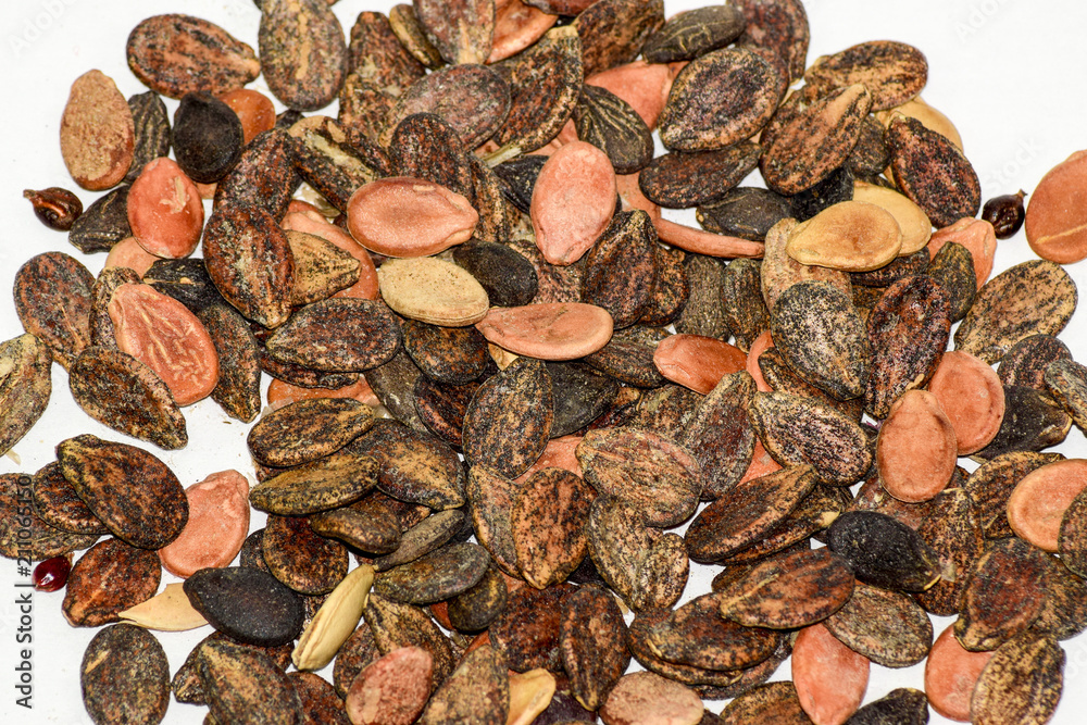 Seeds of watermelon on a white background. watermelon seeds for sowing Seeds of watermelon on a white background. watermelon seeds for sowing