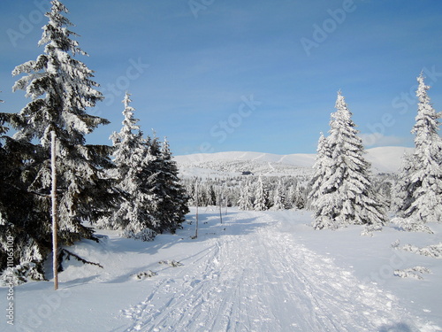 Winter Krkonose - Lu  n   bouda