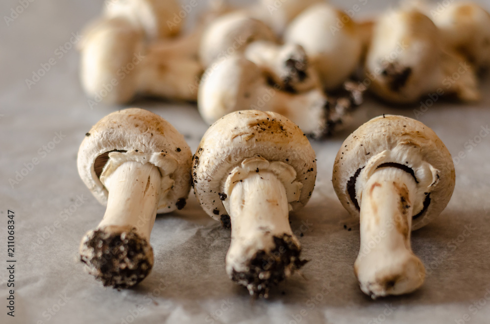 freshly harvested dirty mushrooms spread on paper, raw and healthy vegetables freshly harvested dirty mushrooms spread on paper, raw and healthy vegetables