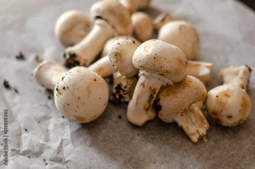 freshly harvested dirty mushrooms spread on paper, raw and healthy vegetables freshly harvested dirty mushrooms spread on paper, raw and healthy vegetables