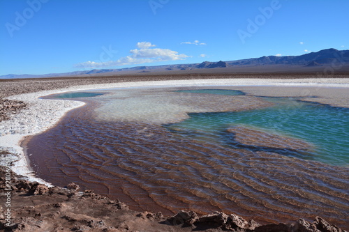 Désert d'Atacama Chili