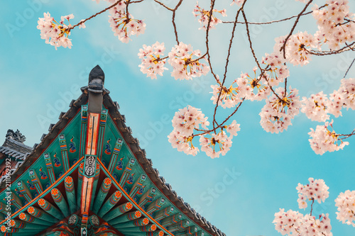 Korean traditional wooden eaves with cherry blossoms