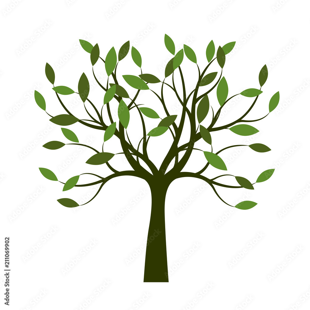 Obraz premium Green Tree with Leaves. Vector Illustration.