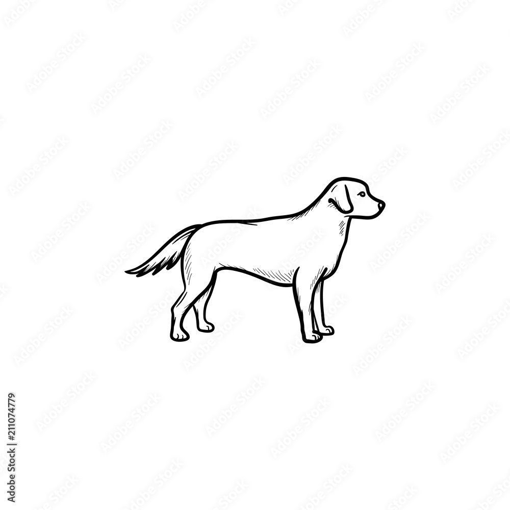 Friendly dog hand drawn outline doodle icon
