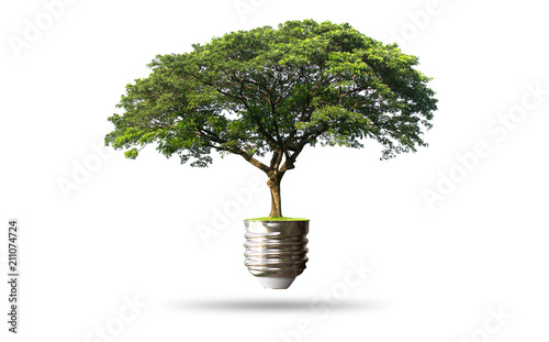 Green tree growing out of electric light bulb ,- Eco concept  ,isolated on white background with clipping path .