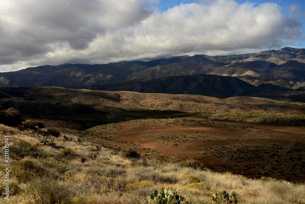 Obraz premium Foothills of Arizona