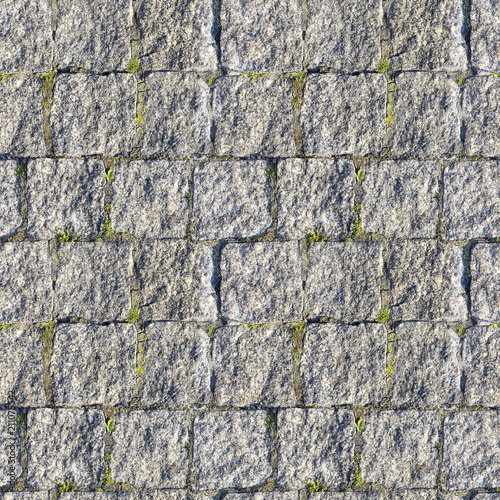 Seamless photo texture of pavement tile from stone with grass photo