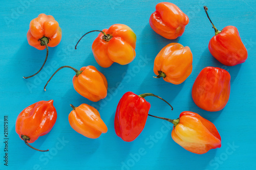 habaneros, chiles habanero, spicy ripe habanero hot chili peppers mexican food in mexico photo