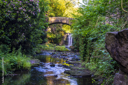 Fototapeta Naklejka Na Ścianę i Meble -  Jesmond Dene Park, Newcastle upon Tyne