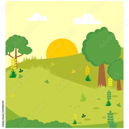 sunset in the green meadow scenery landscape background