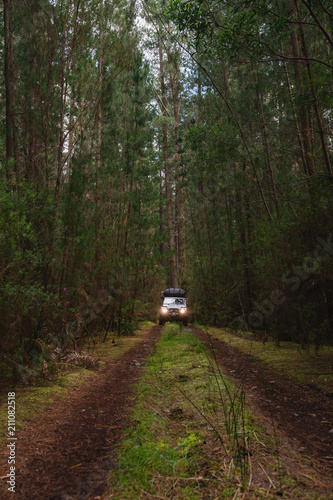 Fotografie 4x4 car in a deep forest