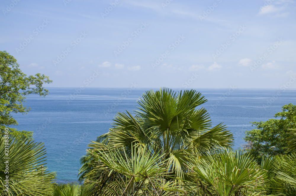 The beautiful landscape palm trees  and sea of Andaman and the Nicobar Islands in India
