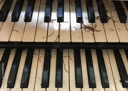 forsaken organ instrument keyboard - close up