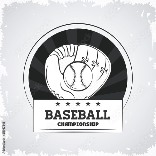 Baseball championship emblem with gray and white vector illustration graphic design