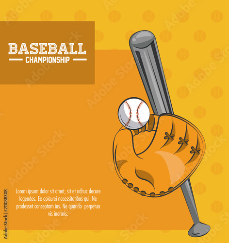 Baseball championship poster with information vector illustration graphic design