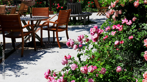 Scenery of the cafe terrace of the city in which roses flower bloom