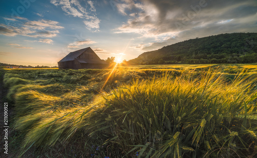 Fotografie, Tablou Old Shack in the Field at Sunset