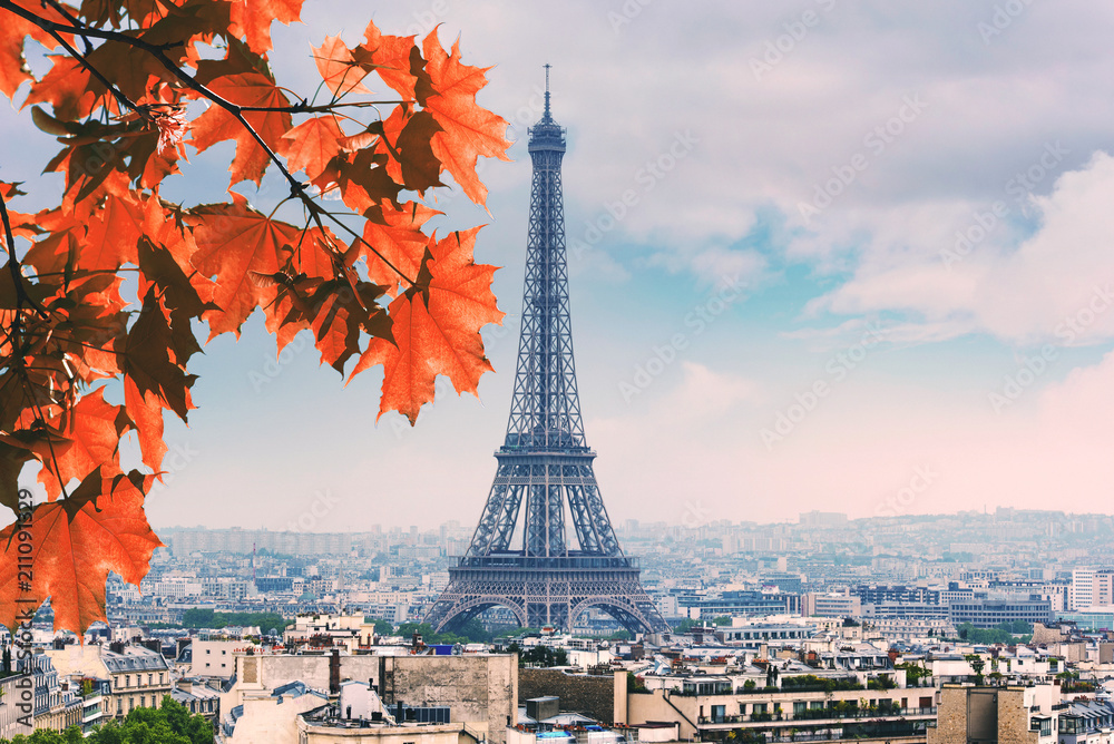 Naklejka Paris red Maple and Eiffel Tower autumn leaves in fall Day
