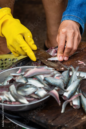 Woman's hand and fishes.Woman in a fishing market in a fishing village in Vietnam.