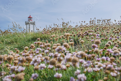 Beautiful landscape and scenic area of Belle-Ile-en-mer with lighthouse at Pointe des Poulains, Bretagne, France