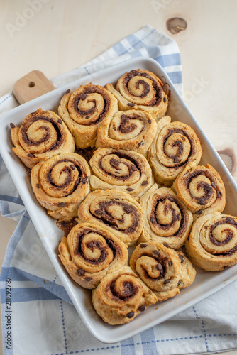 Germschnecken  photo