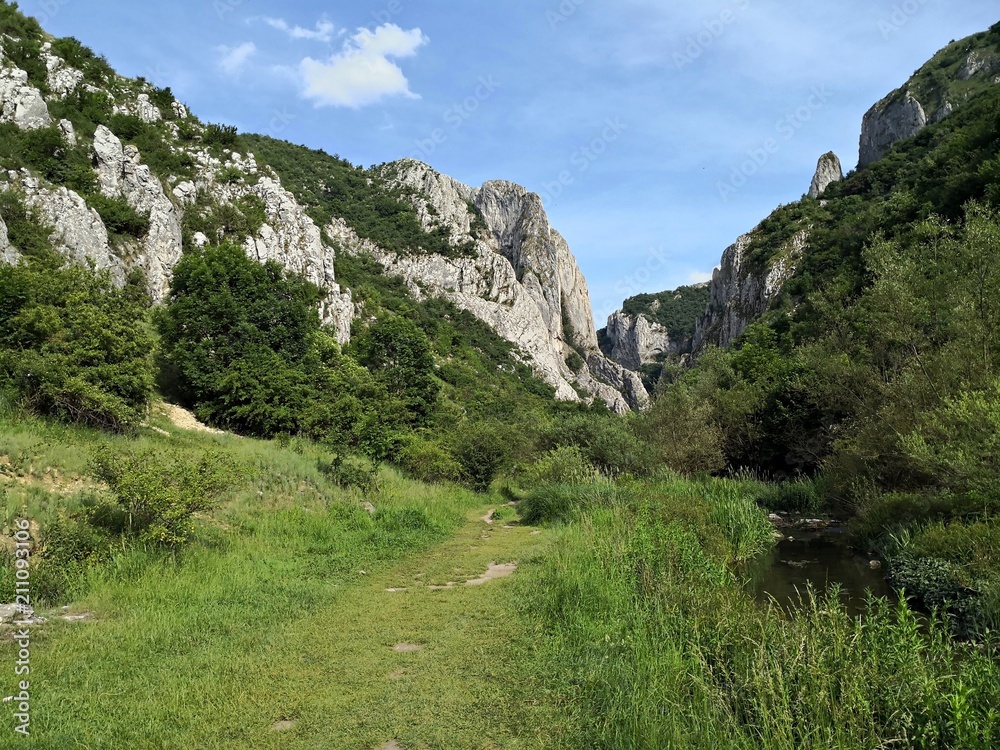 Obraz premium Turda gorge (Cheile Turzii in Romanian) is a natural reserve (on Hășdate River) situated 6 km west of Turda close to Cluj-Napoca, in Transylvania, Romania, Europe