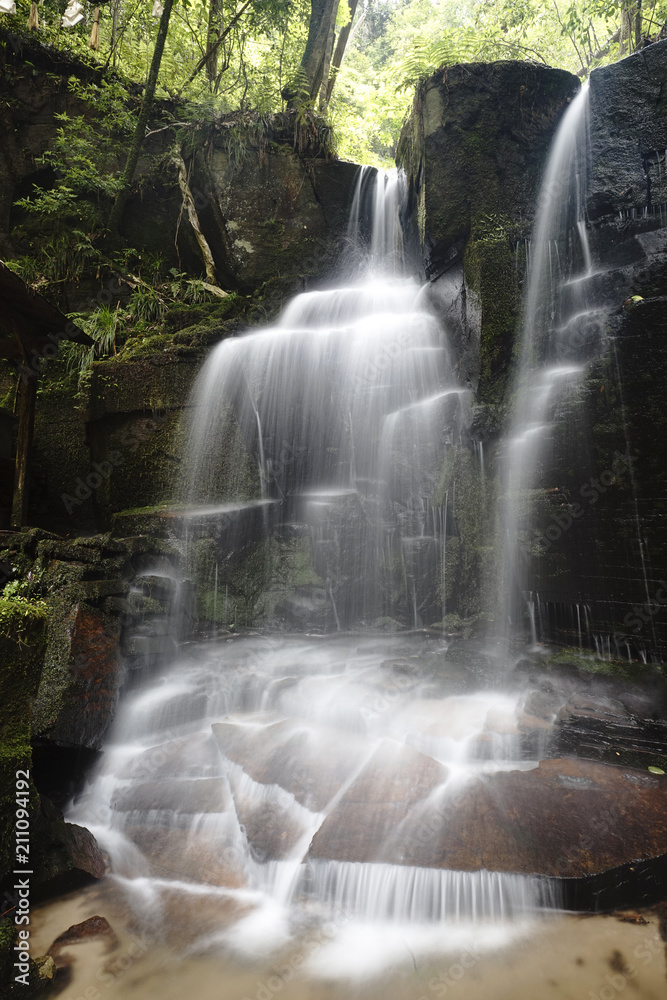 Fototapeta premium 青葉の滝