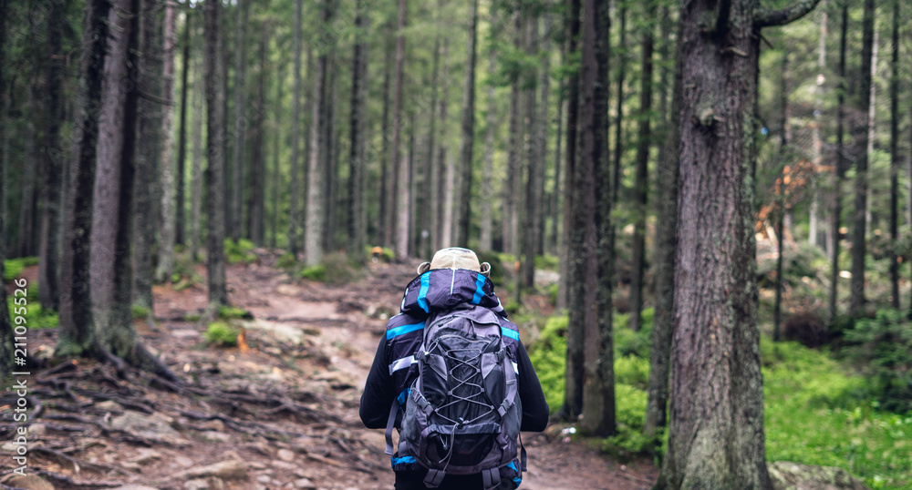 Young man with sports backpack travels in woods. Trek in the summer forest.
