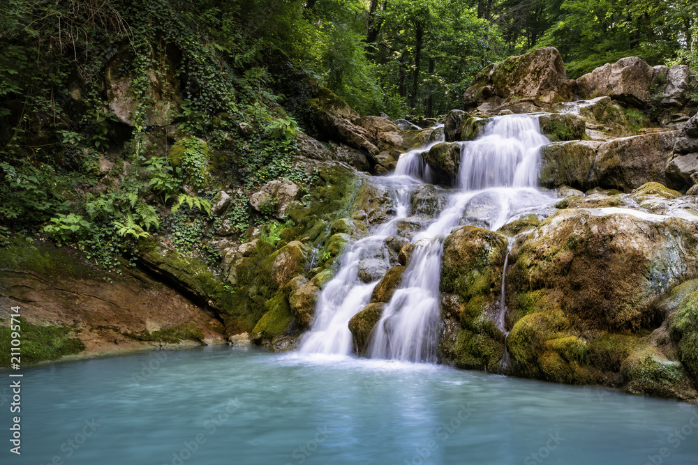 Beautiful Forest Waterfall