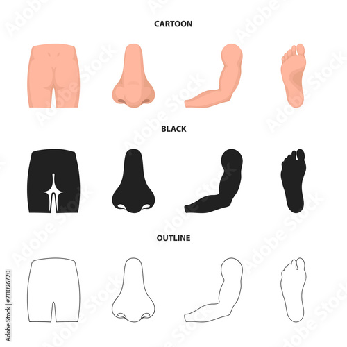 Buttocks, nose, arm, foot. Part of the body set collection icons in cartoon,black,outline style vector symbol stock illustration web.