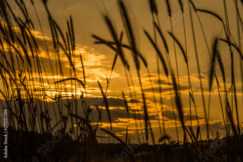 landscapes in the spring