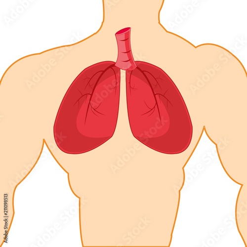 Light in tele person