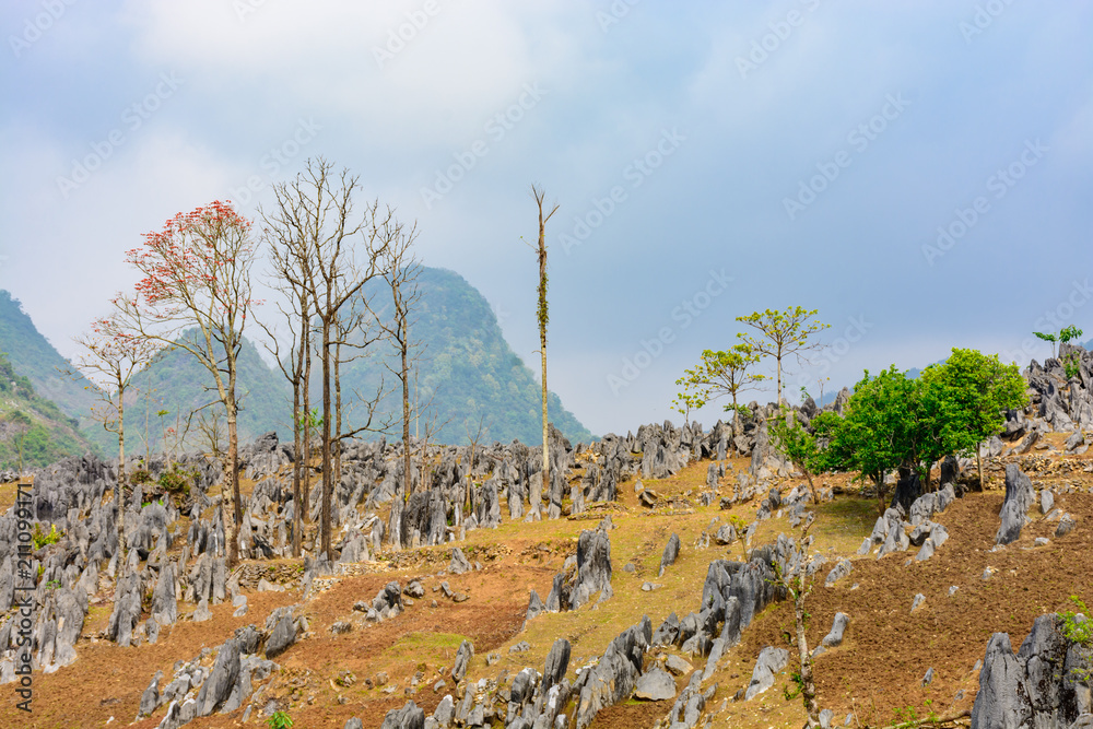  Rock Hight Hill in Vietnam