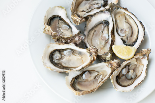 Fresh oysters. Raw fresh oysters are on white round plate, image isolated, with soft focus. Restaurant delicacy. Fresh raw oysters. Saltwater oysters.