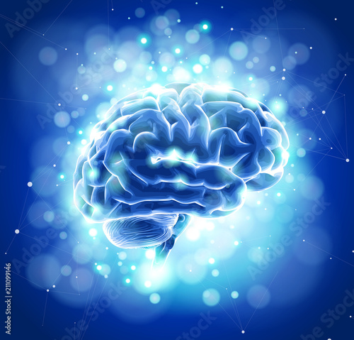 Fototapeta Naklejka Na Ścianę i Meble -  Human brain on a blue technological background surrounded by information fields, neural networks, Internet webs - the concept of modern technology, biotechnology, artificial intelligence / vector draw