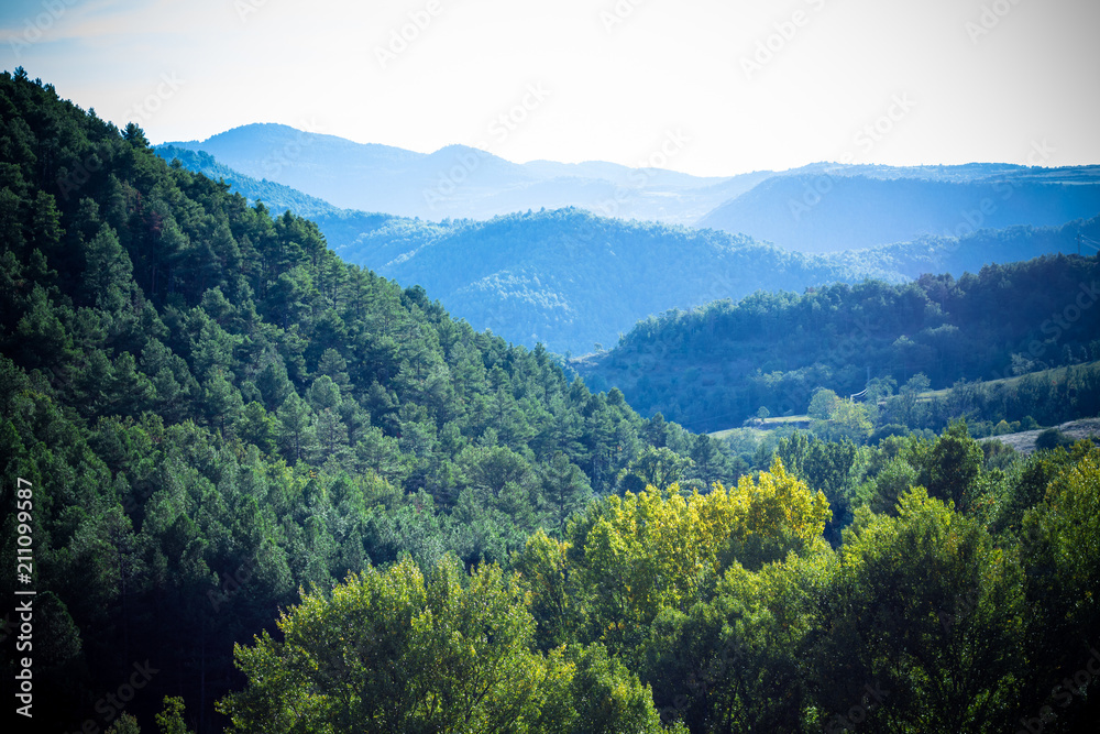 Fototapeta premium Lerida, Spain; October 04, 2017: Forests of the Picos de Europa