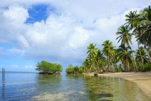 Palm trees on white tropical beach.