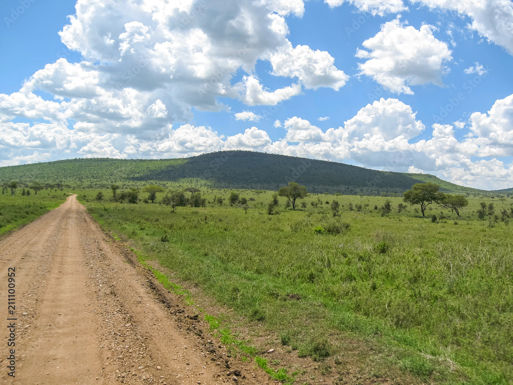 Vanishing dirt road against mountain background. Serengeti National Park, Tanzania, Africa.
Vanishing dirt road against mountain background. Serengeti National Park, Tanzania, Africa.