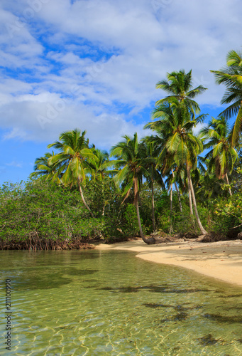 Fototapeta Naklejka Na Ścianę i Meble -  Caribbean sea and green palm trees.