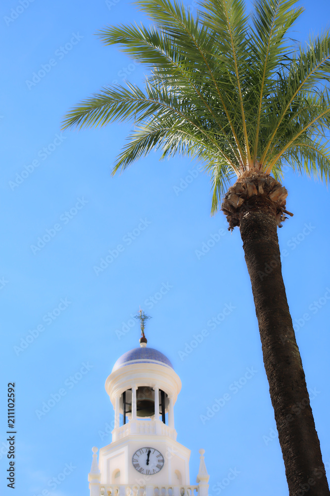 Palm Tree Cadiz