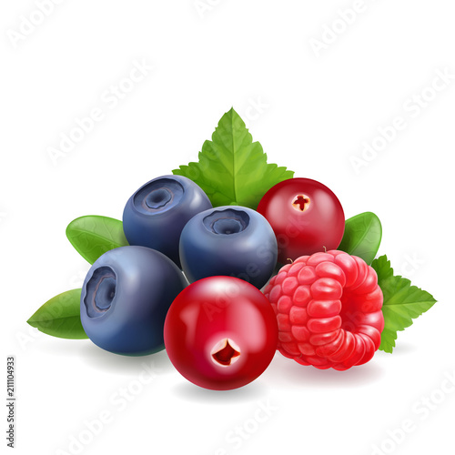 Blueberry, raspberry and cranberry Sweet forest berry. 3d vector Realistic illustration