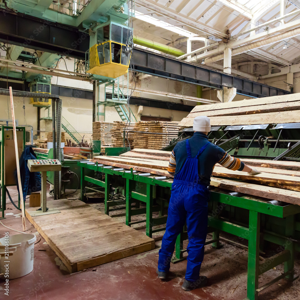 Fototapeta premium Worker with circular saw machine at wood beam cross cutting duri