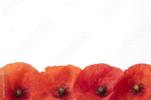 Fototapeta Naklejka Na Ścianę i Meble -  Borders and Frames Made out of Poppies on White Background