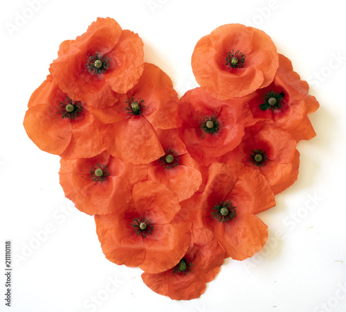Fototapeta Naklejka Na Ścianę i Meble -  Poppies in the Shape of a Heart